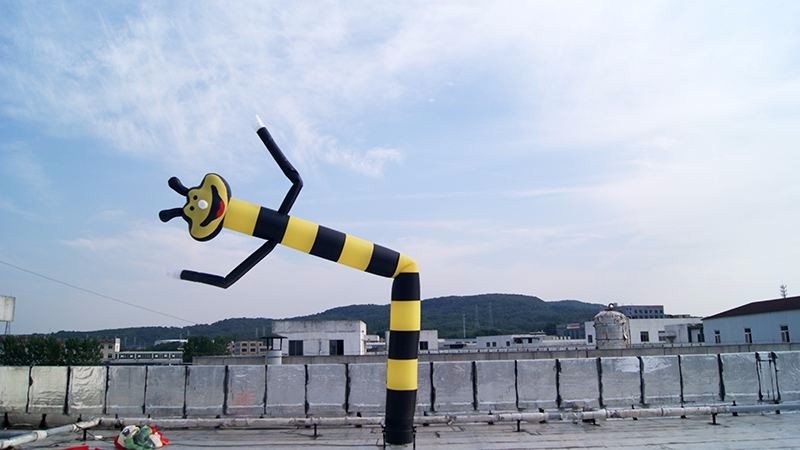 贵州蜜蜂空中舞星